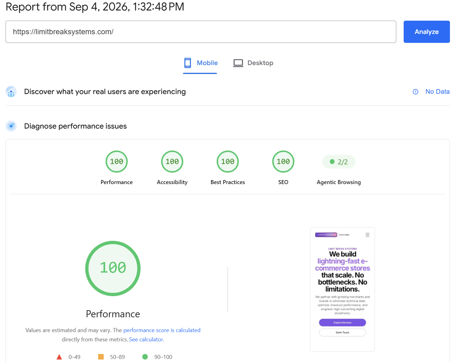 Limit Break Systems Google PageSpeed Insights 100 Score